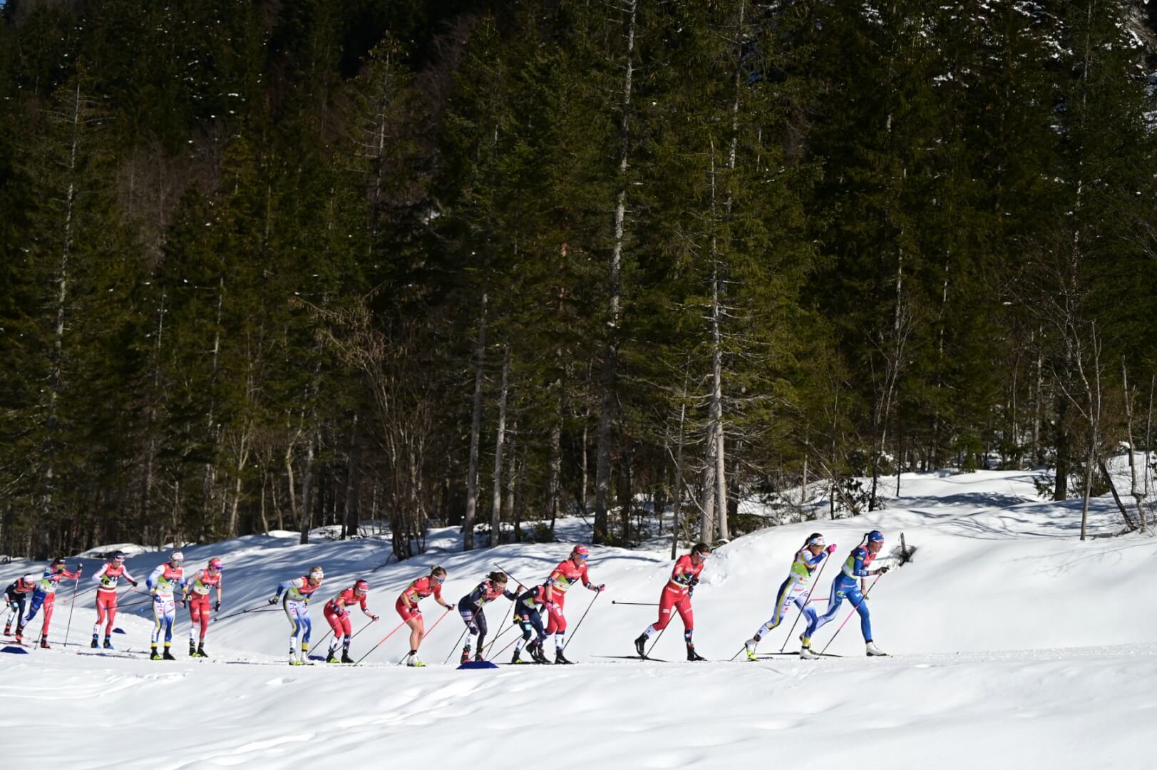 VM på ski